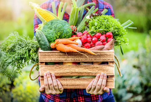 A market basket of fresh seasonal vegetables and fruit